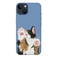 TPU чехол Demsky Funny cat для Apple iPhone 13 (6.1")