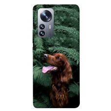 TPU чохол Demsky Собака в зелени для Xiaomi 12 / 12X