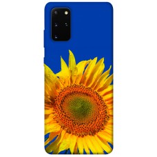 TPU чохол Demsky Sunflower для Samsung Galaxy S20+
