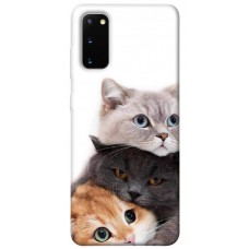 TPU чохол Demsky Три кота для Samsung Galaxy S20