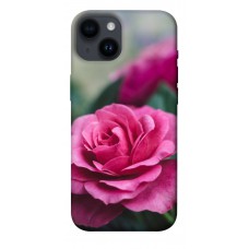 TPU чохол Demsky Роза в саду для Apple iPhone 14 (6.1")