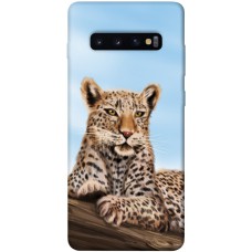 TPU чохол Demsky Proud leopard для Samsung Galaxy S10+