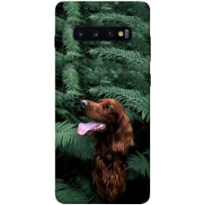 TPU чохол Demsky Собака в зелени для Samsung Galaxy S10+