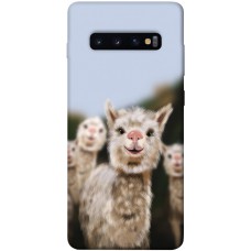 Термополіуретановий (TPU) чохол Funny llamas для Samsung Galaxy S10+