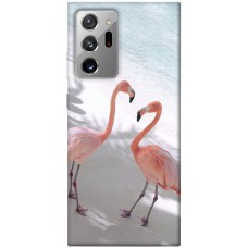 TPU чохол Demsky Flamingos для Samsung Galaxy Note 20 Ultra