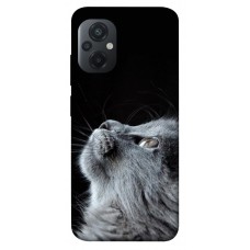 TPU чохол Demsky Cute cat для Xiaomi Poco M5