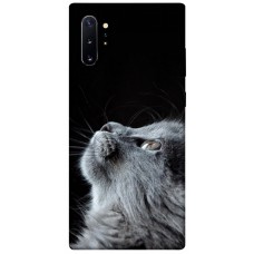TPU чохол Demsky Cute cat для Samsung Galaxy Note 10 Plus