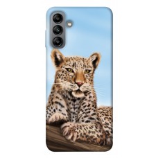 TPU чохол Demsky Proud leopard для Samsung Galaxy A04s