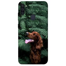 TPU чохол Demsky Собака в зелени для Samsung Galaxy M11
