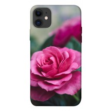 TPU чохол Demsky Роза в саду для Apple iPhone 11 (6.1")