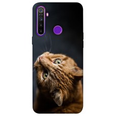 TPU чохол Demsky Рыжий кот для Realme 5