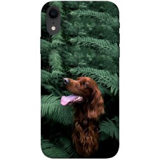 TPU чохол Demsky Собака в зелени для Apple iPhone XR (6.1")