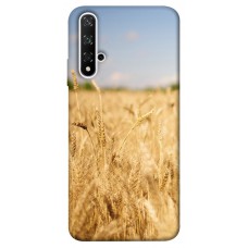 TPU чохол Demsky Поле пшеницы для Huawei nova 5T
