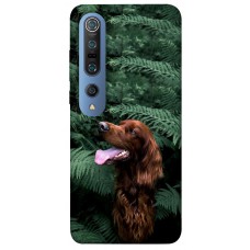 TPU чохол Demsky Собака в зелени для Xiaomi Mi 10 / Mi 10 Pro