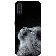 TPU чохол Demsky Cute cat для Samsung Galaxy A01