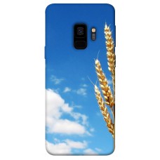 TPU чохол Demsky Пшеница для Samsung Galaxy S9