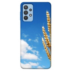 TPU чохол Demsky Пшеница для Samsung Galaxy M32
