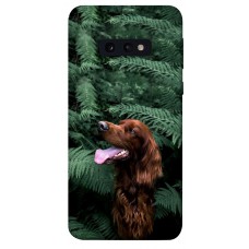 TPU чохол Demsky Собака в зелени для Samsung Galaxy S10e