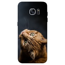 TPU чохол Demsky Рыжий кот для Samsung G935F Galaxy S7 Edge