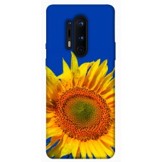 TPU чохол Demsky Sunflower для OnePlus 8 Pro