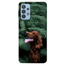 TPU чохол Demsky Собака в зелени для Samsung Galaxy M32