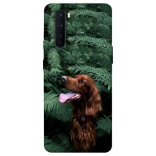 TPU чохол Demsky Собака в зелени для OnePlus Nord