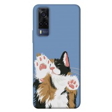 TPU чохол Demsky Funny cat для Vivo Y53s