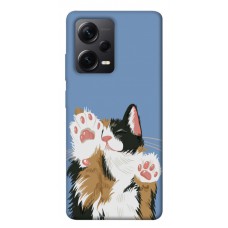 TPU чохол Demsky Funny cat для Xiaomi Poco X5 Pro 5G