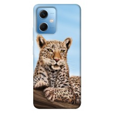 TPU чохол Demsky Proud leopard для Xiaomi Poco X5 5G