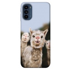 TPU чохол Demsky Funny llamas для Motorola Moto G41