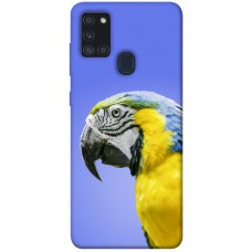 TPU чохол Demsky Попугай ара для Samsung Galaxy A21s