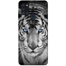 TPU чохол Demsky Бенгальский тигр для Samsung Galaxy A21s