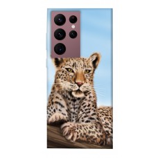 TPU чохол Demsky Proud leopard для Samsung Galaxy S22 Ultra