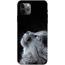 TPU чохол Demsky Cute cat для Apple iPhone 11 Pro Max (6.5")