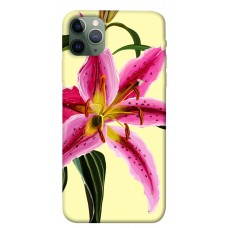 TPU чохол Demsky Lily flower для Apple iPhone 11 Pro Max (6.5")