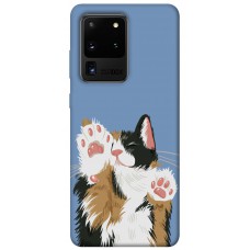 TPU чохол Demsky Funny cat для Samsung Galaxy S20 Ultra