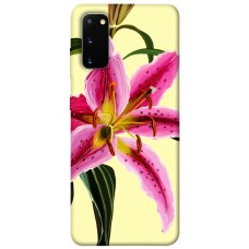 TPU чохол Demsky Lily flower для Samsung Galaxy S20