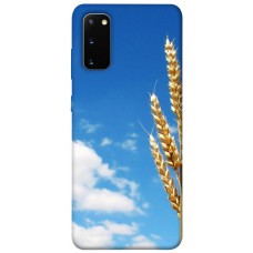 TPU чохол Demsky Пшеница для Samsung Galaxy S20