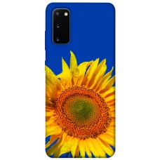 TPU чохол Demsky Sunflower для Samsung Galaxy S20