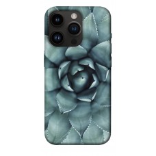 TPU чохол Demsky Суккуленты для Apple iPhone 14 Pro (6.1")