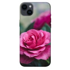 TPU чохол Demsky Роза в саду для Apple iPhone 14 Plus (6.7")