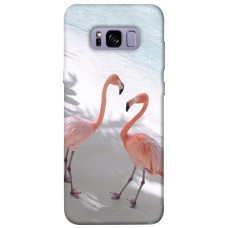 TPU чохол Demsky Flamingos для Samsung G955 Galaxy S8 Plus