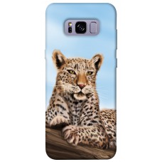 TPU чохол Demsky Proud leopard для Samsung G955 Galaxy S8 Plus