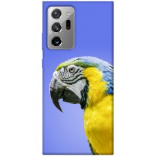TPU чохол Demsky Попугай ара для Samsung Galaxy Note 20 Ultra