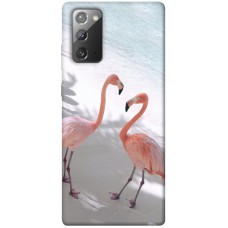 TPU чохол Demsky Flamingos для Samsung Galaxy Note 20