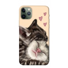 TPU чехол Demsky Cats love для Apple iPhone 11 Pro (5.8")