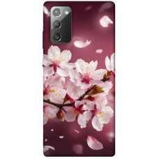 TPU чехол Demsky Sakura для Samsung Galaxy Note 20