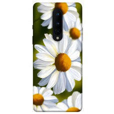 TPU чохол Demsky Ароматна ромашка для OnePlus 8