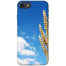 TPU чохол Demsky Пшеница для Apple iPhone 7 / 8 (4.7")