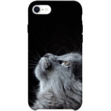 TPU чохол Demsky Cute cat для Apple iPhone SE (2020)